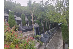 南山福座，城市中的宁静绿洲